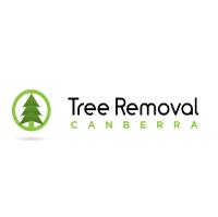 Tree Removal Canberra - Arborist image 1